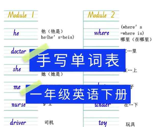 学生的英语是什么怎么写单词的