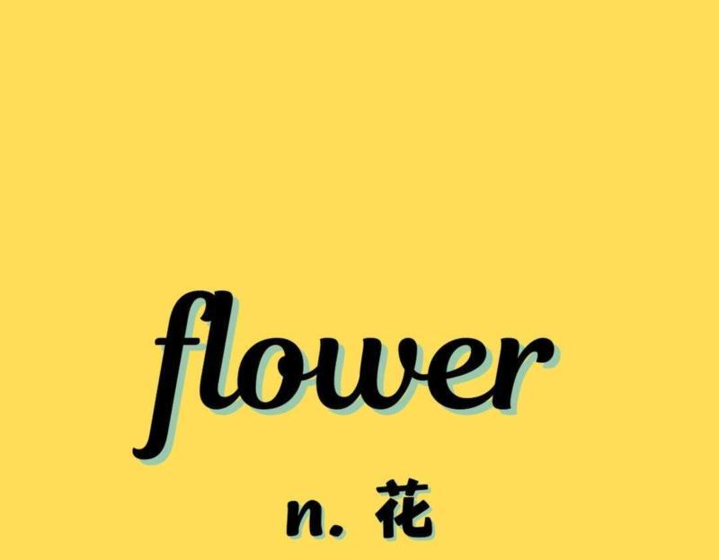 flower怎么读音发音英语怎么说