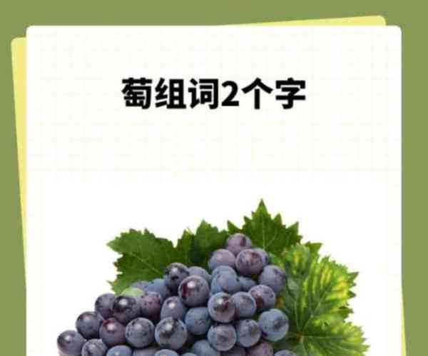 葡萄的英语怎么讲的,带汉字