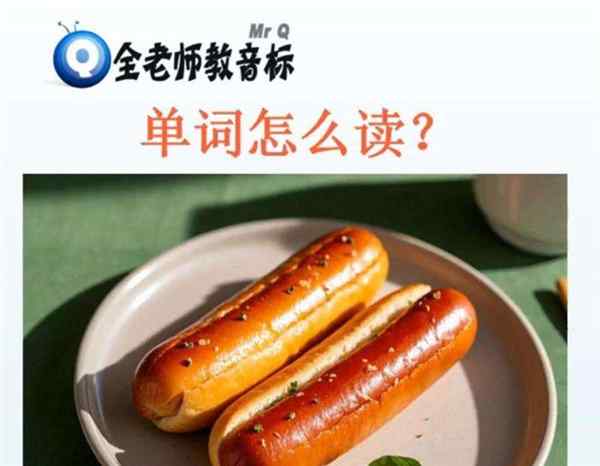 dog音标是什么意思