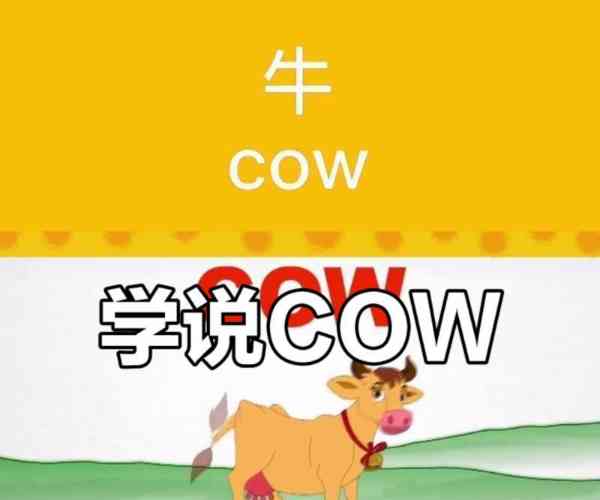 比较牛的英文怎么写的