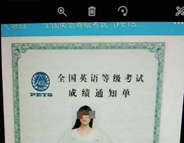 pets3代报名