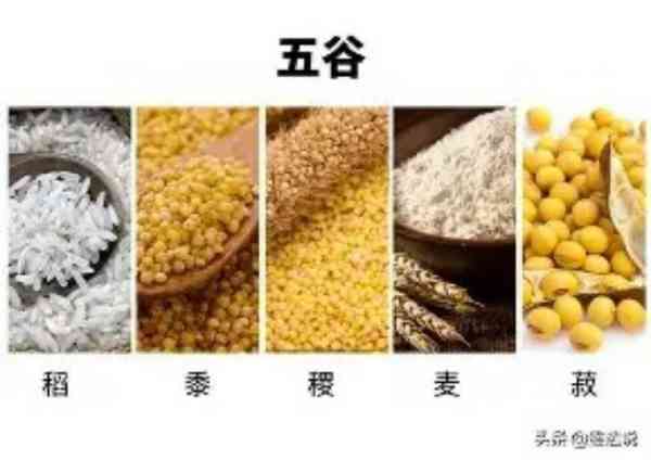 buck怎么读音发音英语怎么读