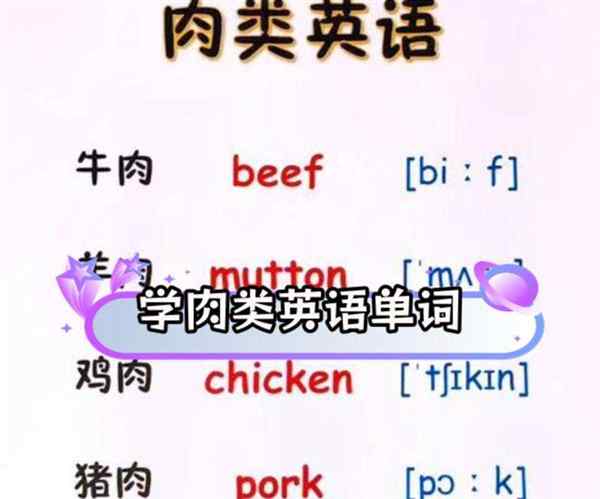 肉的英语单词怎么读语音翻译