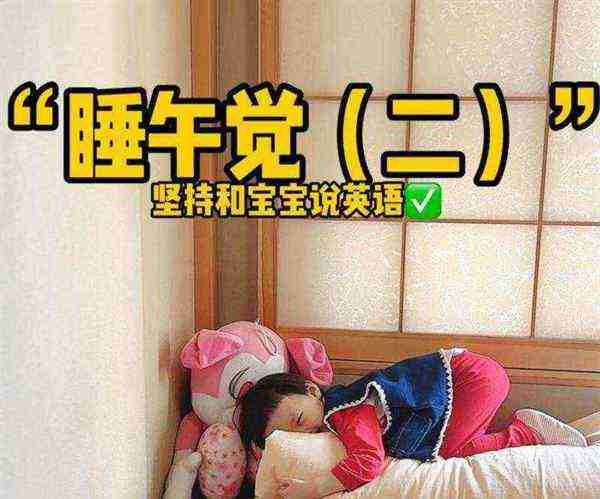 睡午觉英语咋说