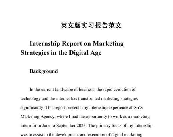 英语论文翻译实践报告范文