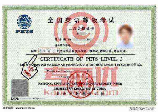 英语pets3相当于什么水平