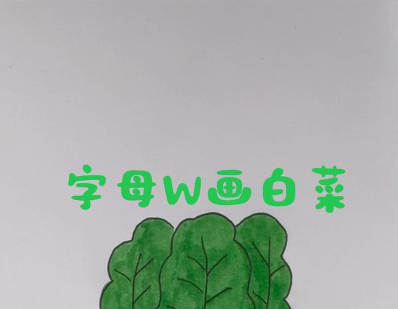 白菜的英语单词是什么怎么写