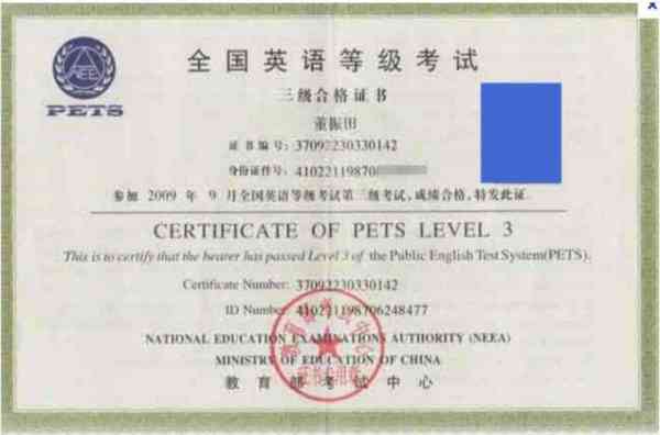 pets的含金量高吗