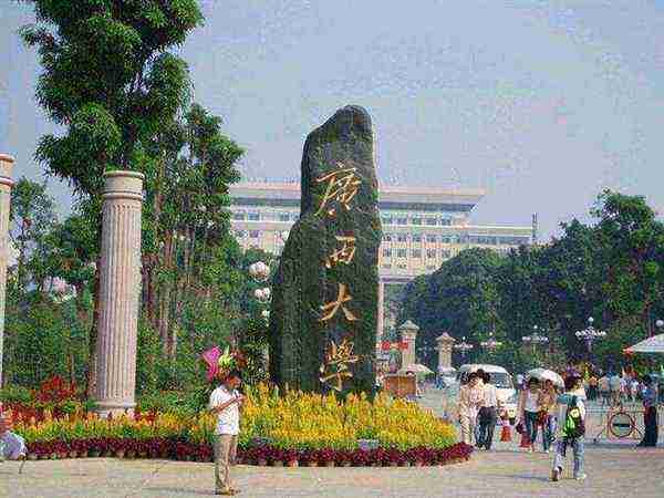 广西民族大学法学院研究生院