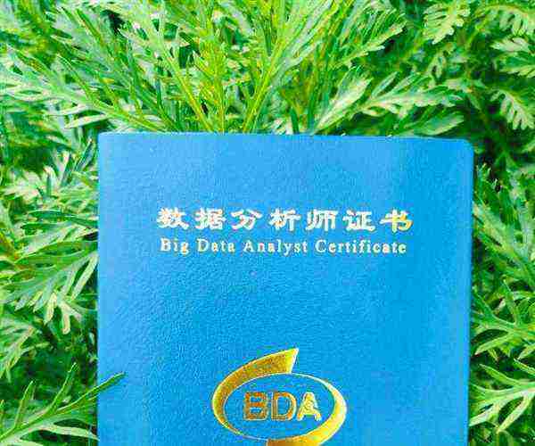 金融分析师专业技能证书有用吗