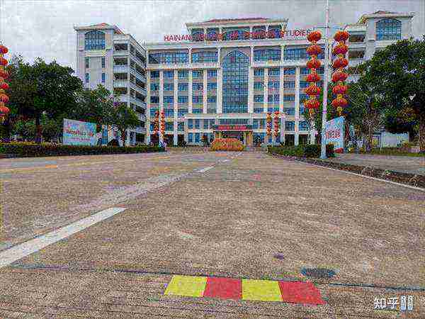 海南外国语职业学院官网