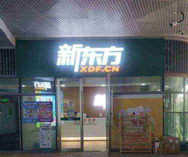 新东方学校英文怎么说啊