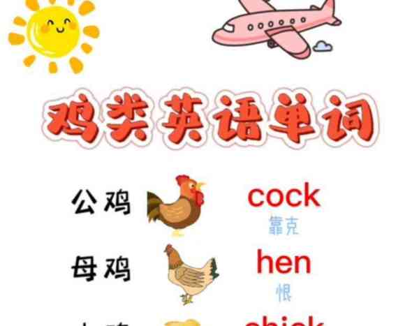 白切鸡的英文怎么读怎么写的