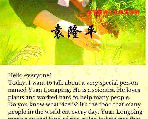演讲的英文怎么说怎么写的