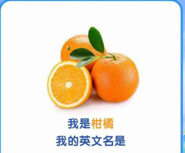 橘子的英语oranges