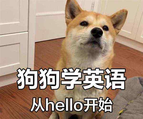 的英文怎么写啊怎么读啊