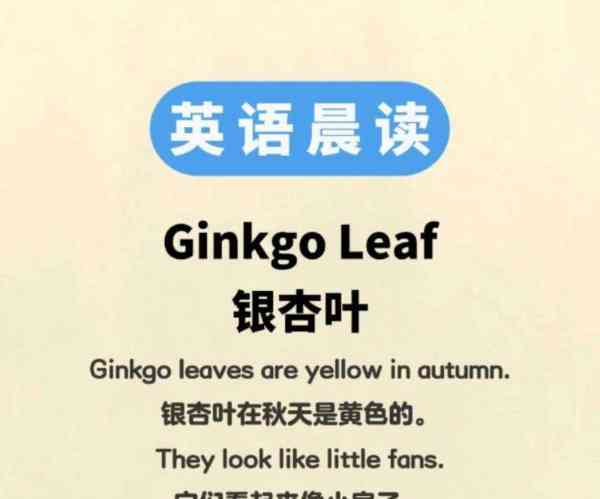 leaf的英文怎么读语音