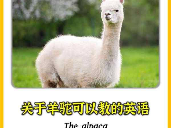 山羊的英语单词怎么写呢?