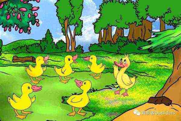 一只丑小鸭变成一只天鹅的英语