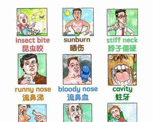 健康的英语怎么读?