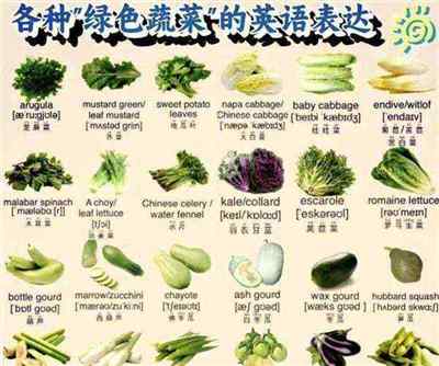 蔬菜用英文怎么念?