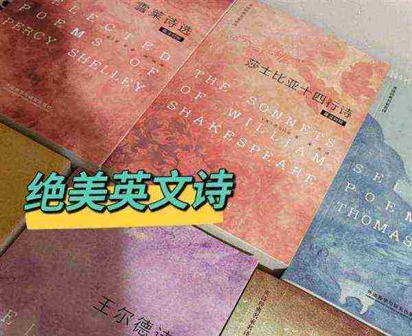 经典英文诗歌鉴赏范文