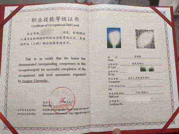 人力资源管理师考试成绩多久有效