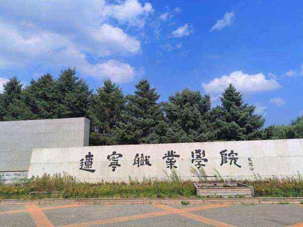 辽宁广告职业学院查成绩
