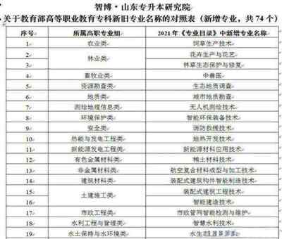 专升本是3+1还是3+2