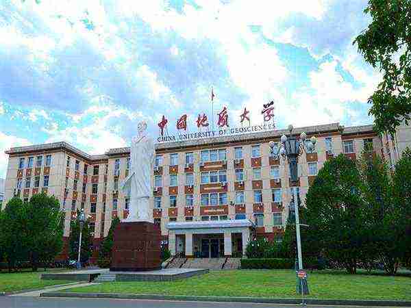  地质大学艺术与传媒学院推免公示