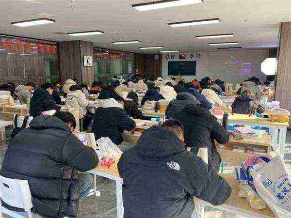 艺考包过被骗