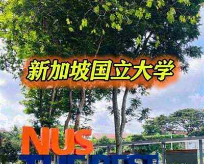 新加坡国立大学business administration