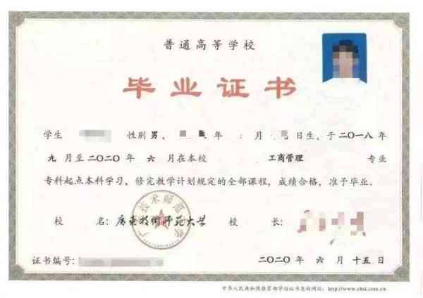 什么是专科什么是本科