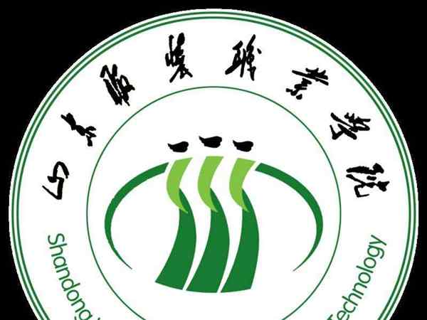山东大学生就业信息网查询