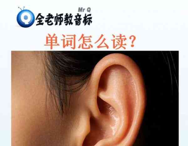 ears的英语怎么读音是什么