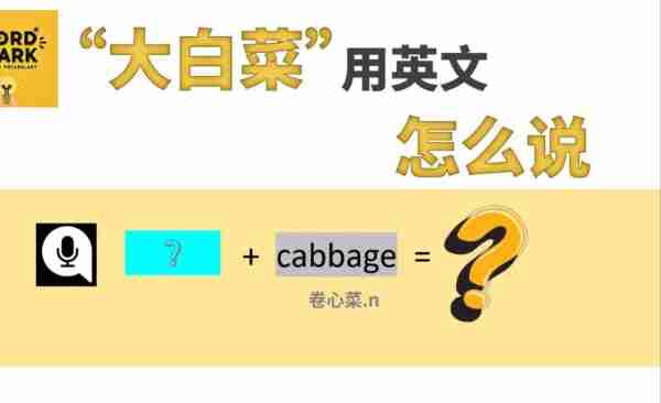 白菜用英语怎么讲