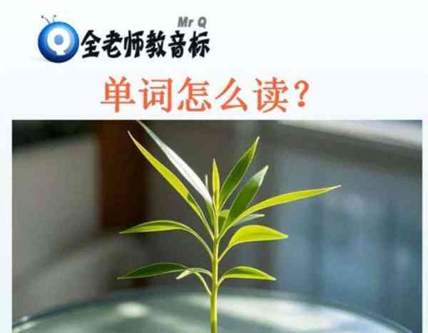 grow的英文过去式