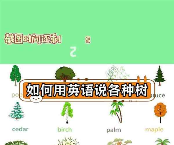 爬树英语怎么读?
