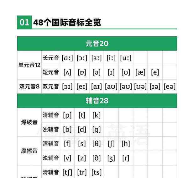 gorilla音标是什么