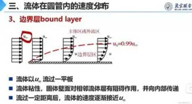 racial的用法及短语