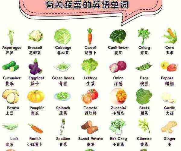 蔬菜的英语怎么念怎么写的