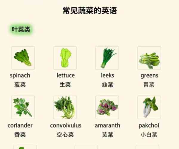vegetables的英语怎么读音发音