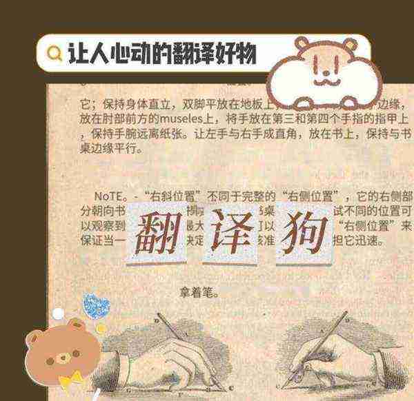 他喜欢小狗用英语怎么写