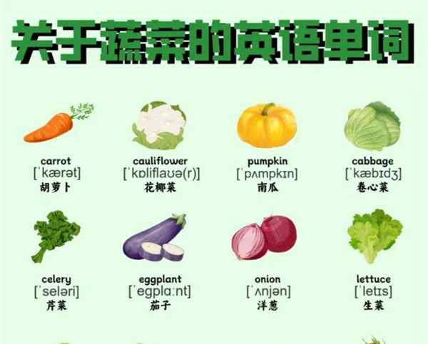 胡萝卜的英语单词读什么