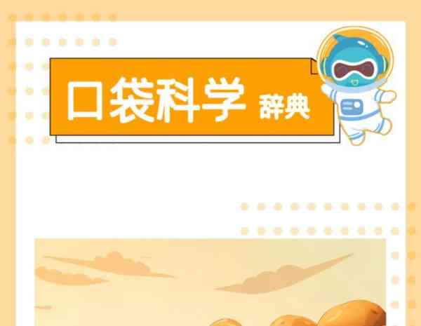 土豆用英文怎么写的单词