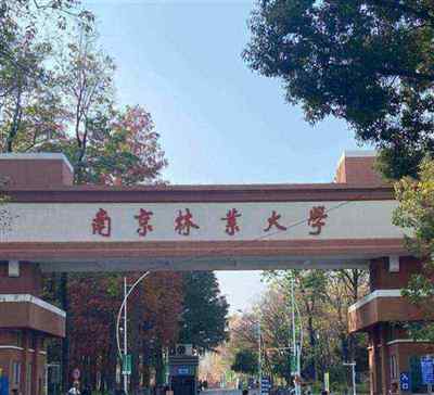 中南林业大学科技大学
