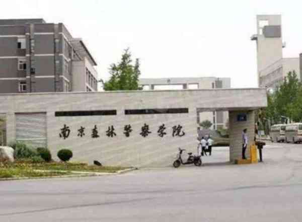 丁卫华南京森林 学院