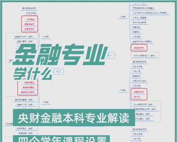 金融分析师需要什么专业技能