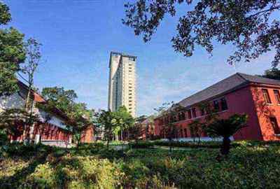 朱鹏飞东南大学自动化学院